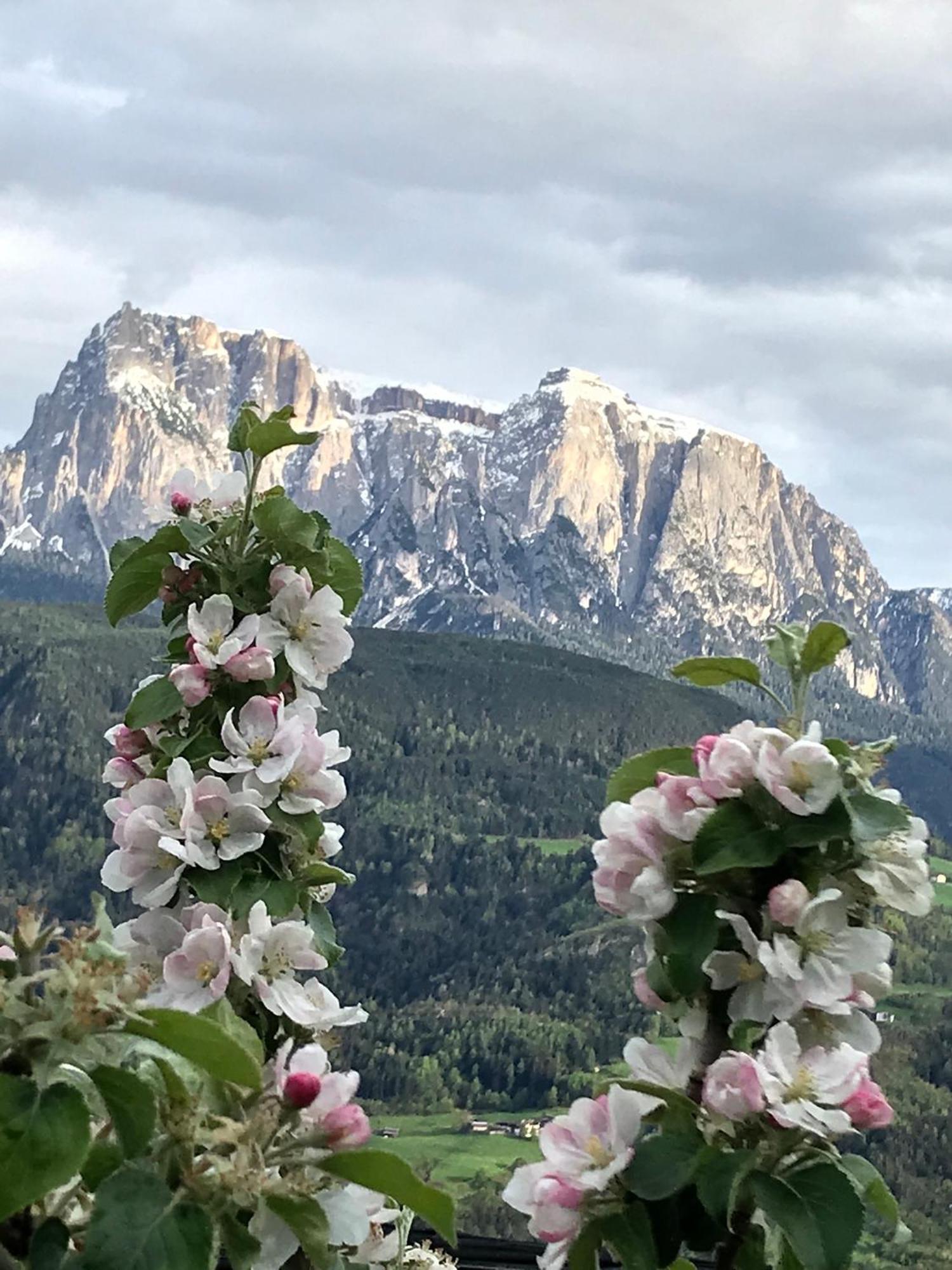 Gasserhof Barbiano  Exteriér fotografie