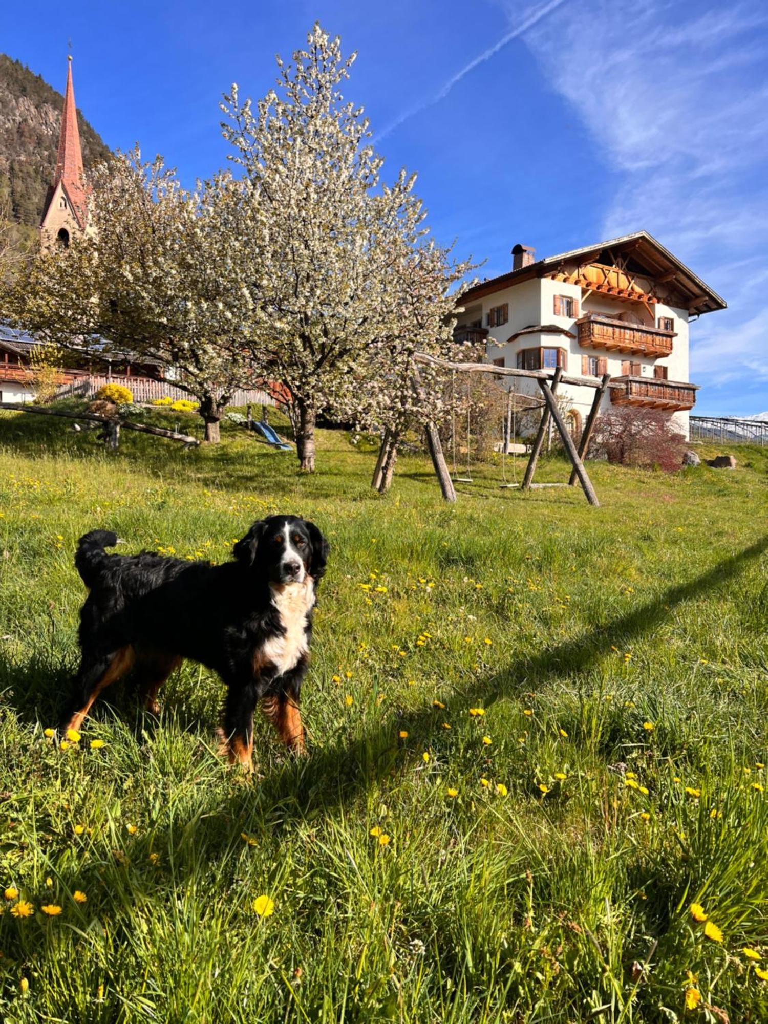 Gasserhof Barbiano  Exteriér fotografie