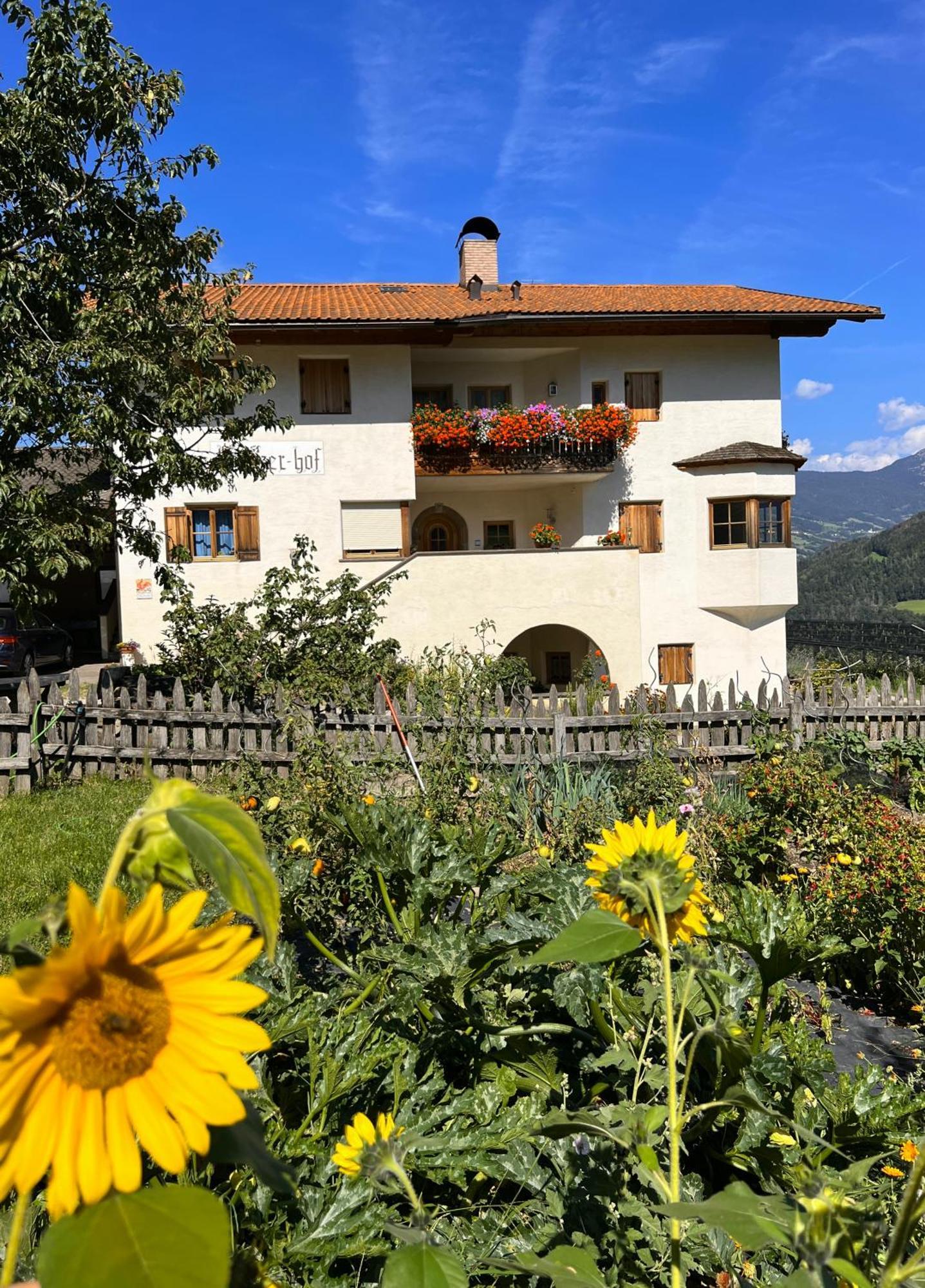 Gasserhof Barbiano  Exteriér fotografie