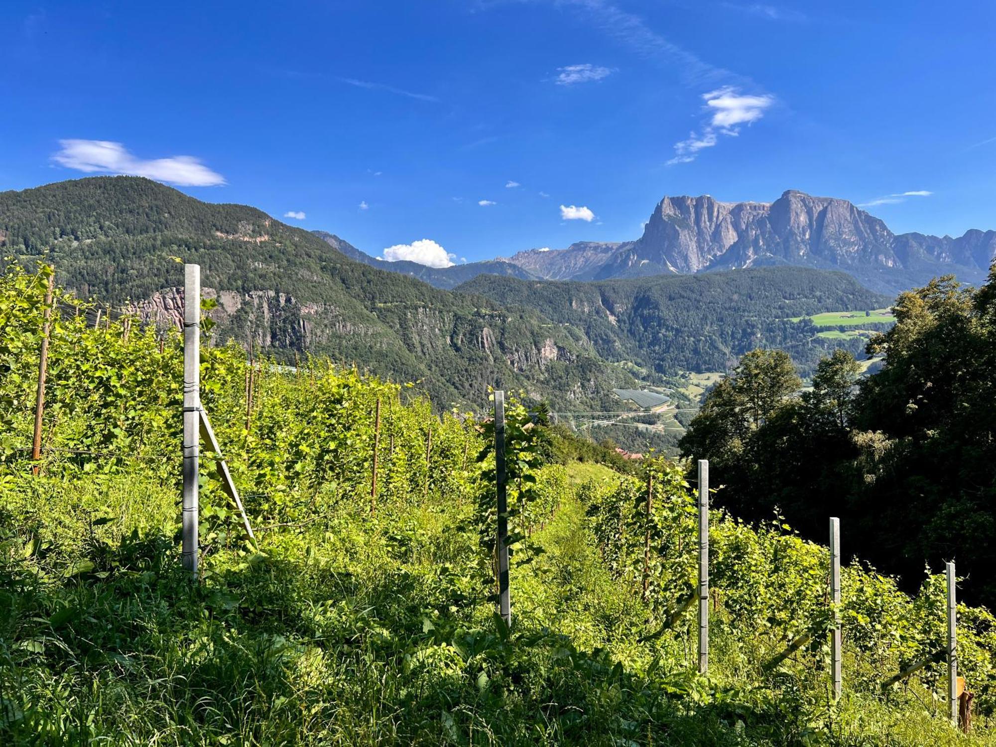 Gasserhof Barbiano  Exteriér fotografie